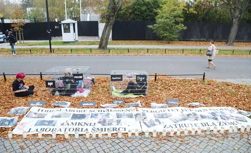 Protest przed Ambasadą Niemiec w Warszawie