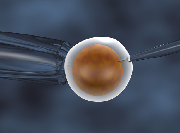 Co grozi dzieciom z in vitro? Lekarze ostrzegają