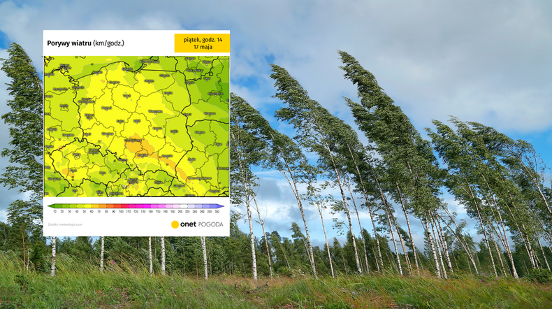 Silny wiatr da się mocno we znaki, skutecznie obniżając temperaturę odczuwalną (screen: meteologix.com)