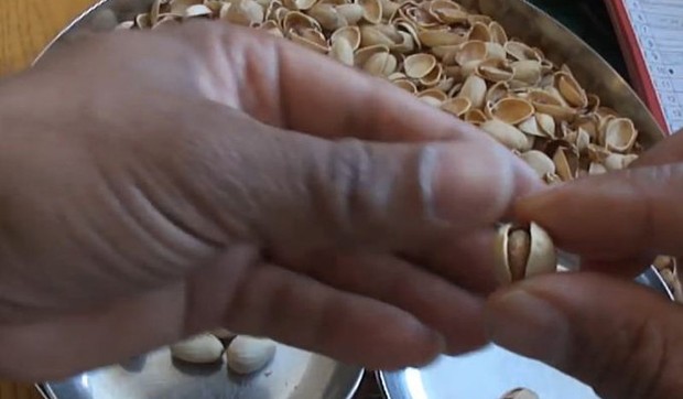 525558_pistaci-foto-print-screen-youtube-travels-in-india-london--the-uk