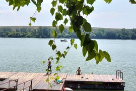 TARZAN PLAŽA JE NAJMIRNIJA i jedna od NAJLEPŠIH u Srbiji: Imate osećaj kao da ste na moru, ali malo BOLJE! Ovde kafa ne košta ni 200 dinara, a stiže se za manje od sat vremena iz Beograda