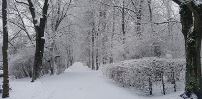 Uwaga! To będzie najzimniejszy weekend tej zimy