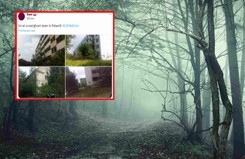 Największe opuszczone miasto duchów w Polsce. Co się tam wydarzyło?