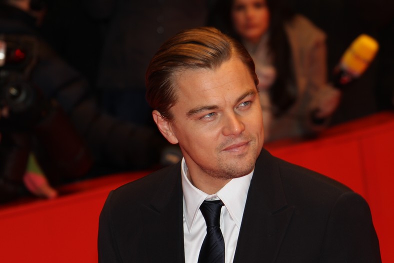 Leonardo DiCaprio - Figure 1