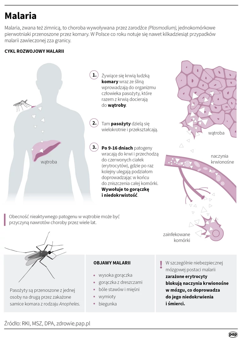 Malaria - infografika