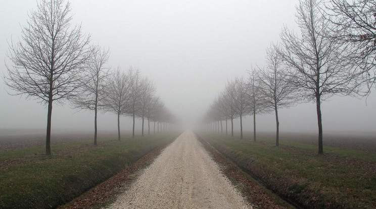 A köd még a holnap sem fog eltűnni /Fotó: Northfoto/