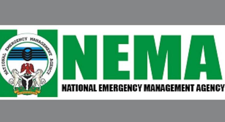 NEMA receives 1,187 Nigerian returnees from Cameroon
