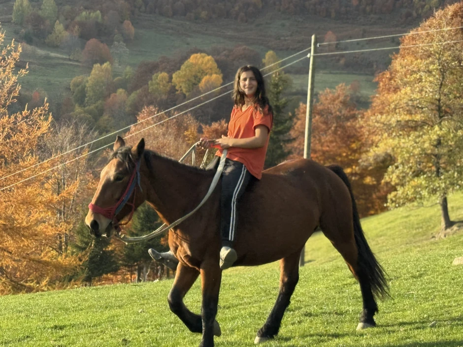 Imanje Vida Lukovića