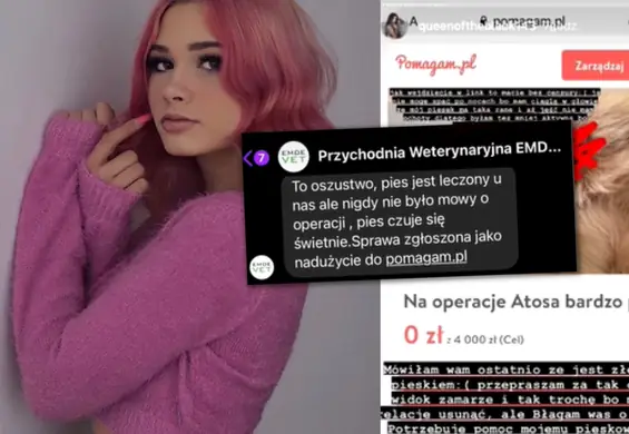 Influencerka wyłudziła pieniądze od fanów? Mówiła, że zbiera na operację psa