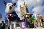 protest przeciwko brexitowi