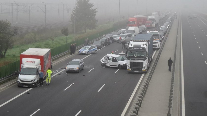 Piesi z walizkami na trasie szybkiego ruchu. O co chodzi?