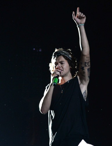 Harry Styles podczas koncertu One Direction w Buenos Aires
