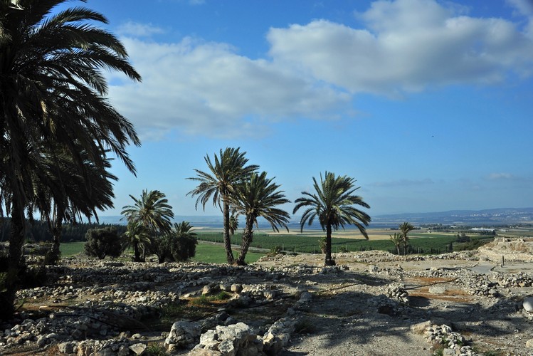 Megiddo - stanowisko archeologiczne znajdujące się na terenie dzisiejszego parku narodowego w Izraelu, obejmujące ruiny starożytnego miasta z XVIII-VI wieku p.n.e., uznawane za jedno z najbardziej imponujących stanowisk archeologicznych. Przez żydów nazywane Tell Megiddo (pol. Wzgórze Megiddo). W 2005 roku obszar został zarejestrowany wraz z ruinami miast Chasor i Beer Szewy na liście światowego dziedzictwa kultury UNESCO.