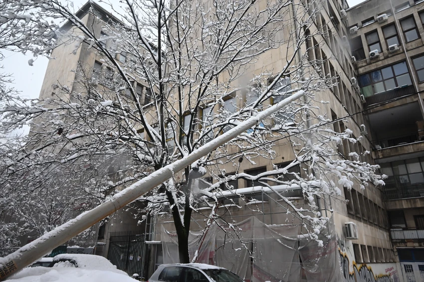 Pala bandera u Siminoj ulici