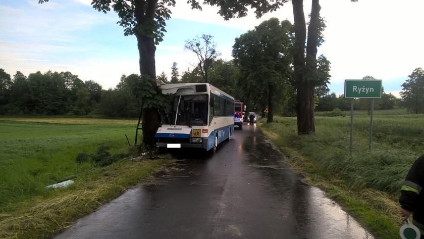 Mali bohaterowie! Ratowali opiekunkę i kierowcę w wypadku