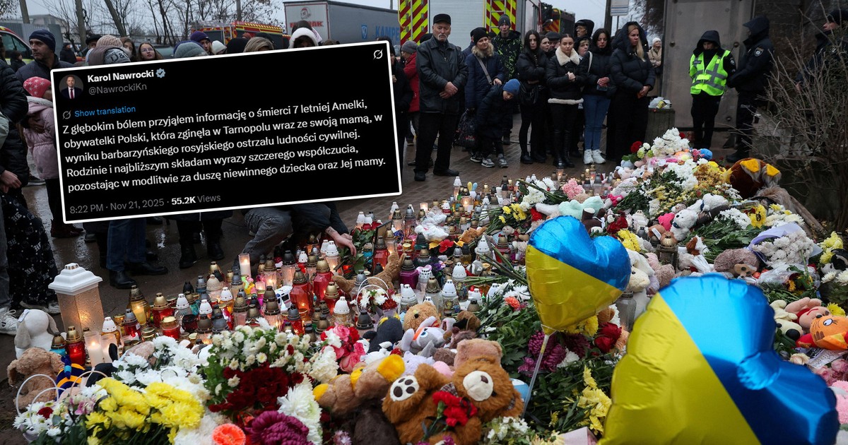 7-letnia Amelka zamordowana razem z mamą. Prezydent Nawrocki reaguje na tragedie