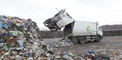 Drzewa mają pomóc na smród z wysypiska?