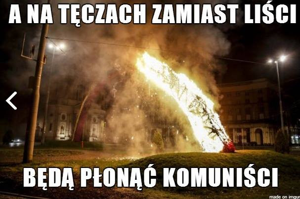 Zamieszki w Warszawie okiem internautów