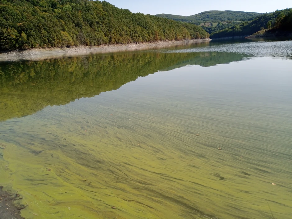 Užički "Vodovod" danas šalje ekipu da uzorkuje alge 
