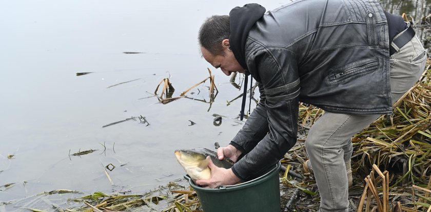 Paweł Kukiz uwolnił karpie. "Zrobiłem to dla córek"