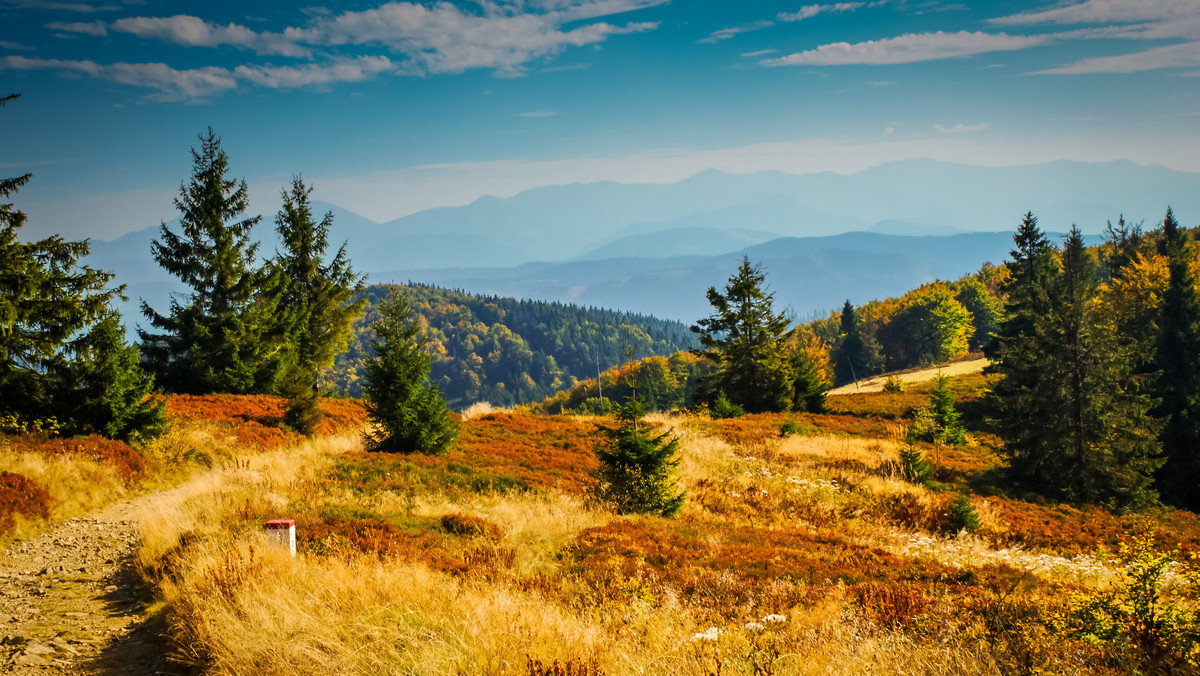  Beskid Śląski: najpiękniejsze szczyty i szlaki. Co warto zobaczyć?