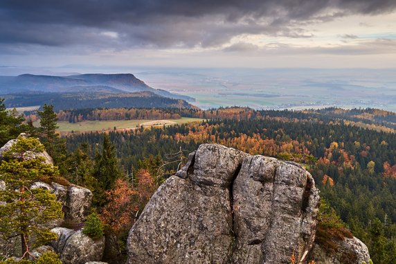 Szczeliniec Wielki - 919 m n.p.m. - Sudety