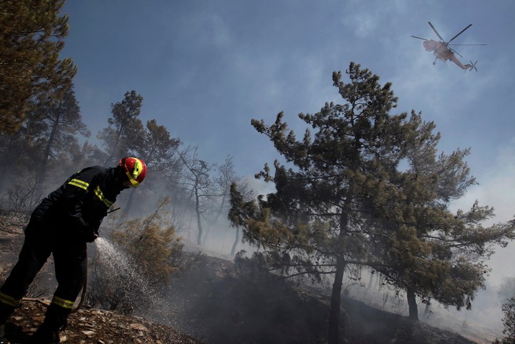 GRECJA. Płoną lasy i przedmieścia. Strażacy i żołnierze walczą z ogniem