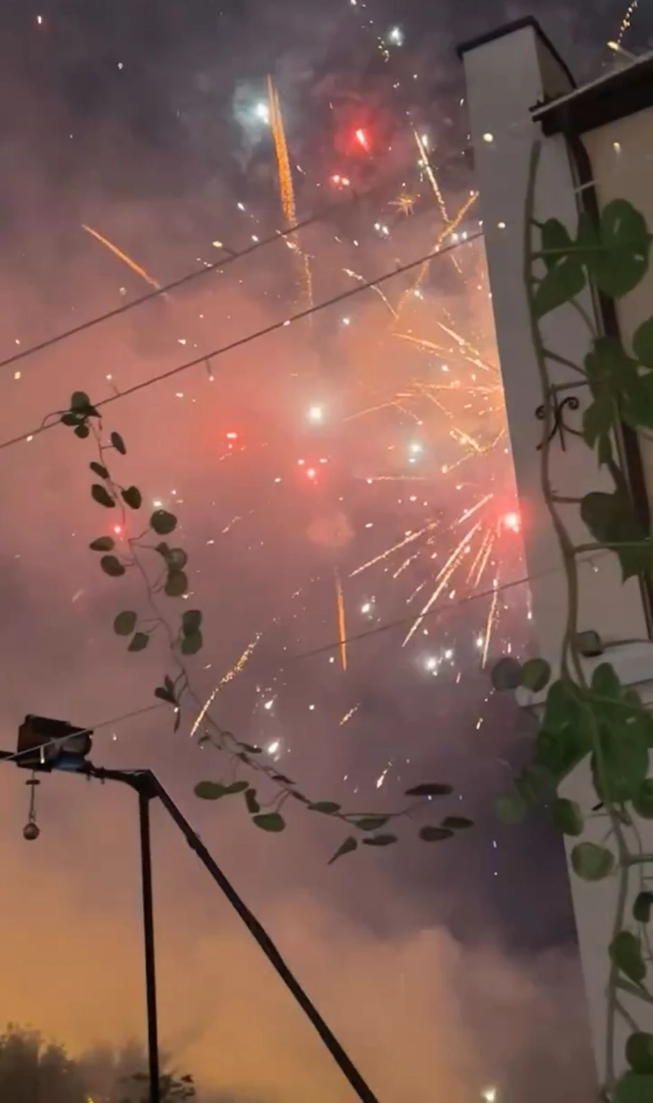 Ivana Korab i njen muž slave sinovima rođenda