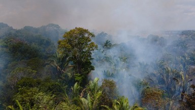 Amazonia płonie. Najwięcej pożarów od 15 lat