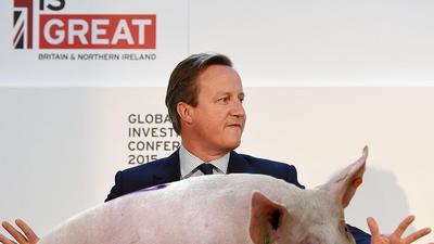 David Cameron piggate świnia