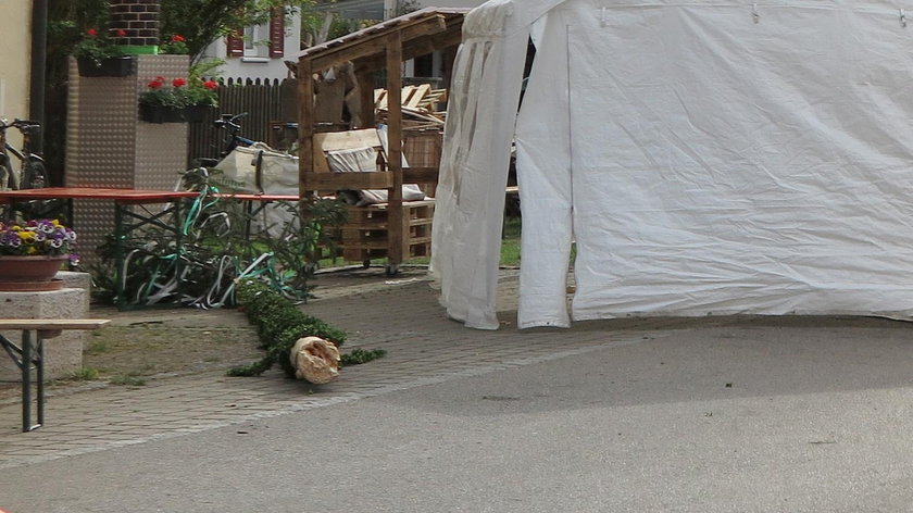 Śmierć na festynie majowym. Gałąź zmiażdżyła 29-latkę 