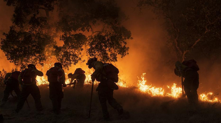 A felmelegedés miatt egyre több és nagyobb erdőtűz pusztít az egész világon /Fotó: MTI/AP/