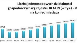 Liczba jednoosobwych działalności