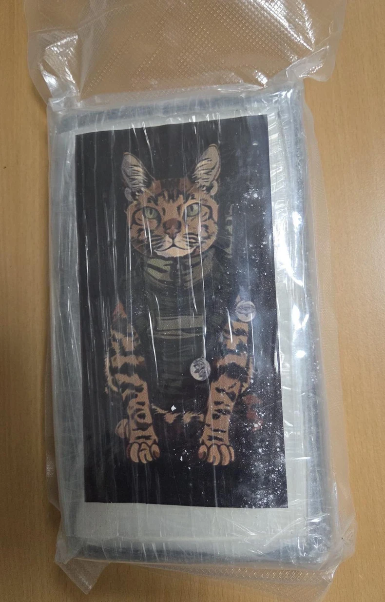 Hapšenje U Srbiji, Austriji i Španiji 