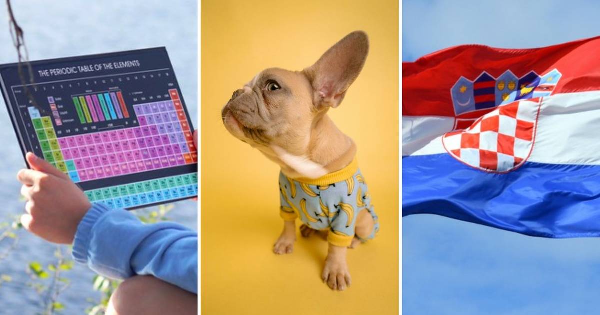 Pytania z "Matura to bzdura". Niby proste, ale łatwo na pewno nie będzie