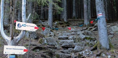 Tatry "zamknięte". Wszystko przez halny