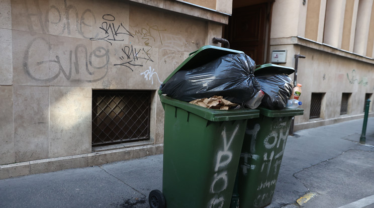 A VIII. kerületben délelőtt még kint voltak a kukák / Fotó: Pozsonyi Zita