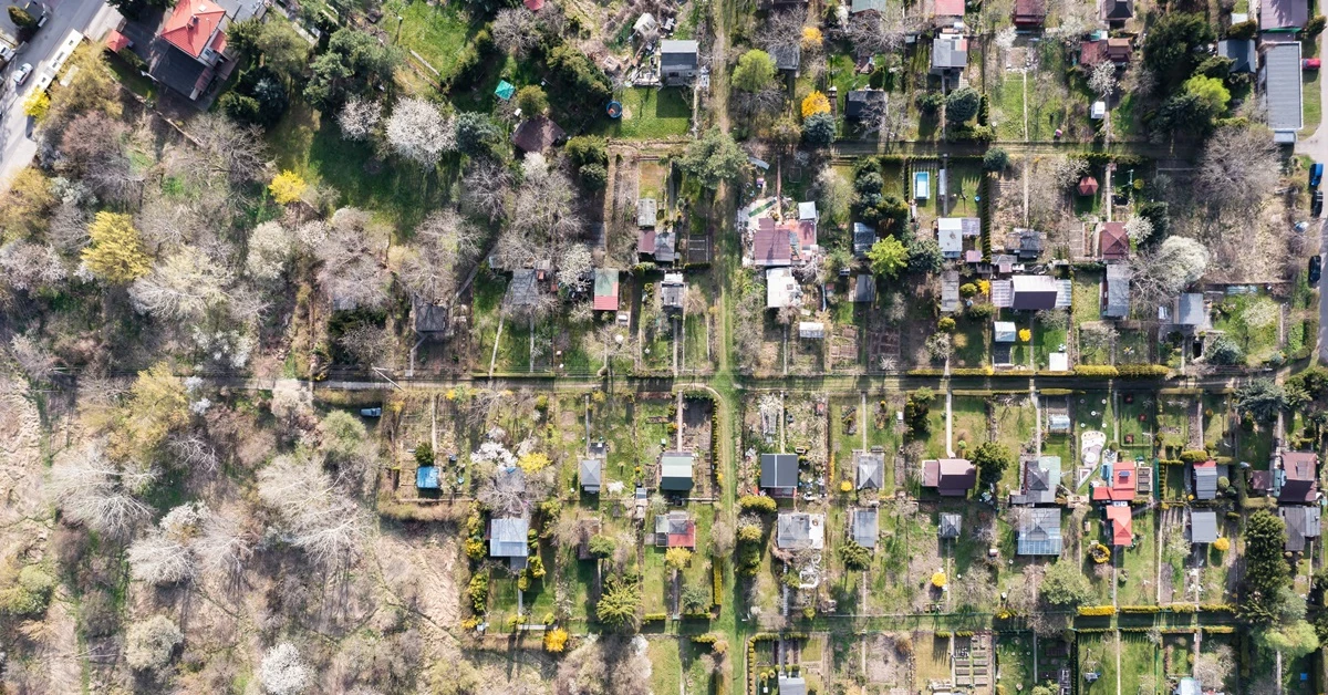 Czy warzywa i owoce zrywane z działek usytuowanych w mieście są zdrowe? Badania pestycydów i metali ciężkich na ogrodach działkowych w Warszawie