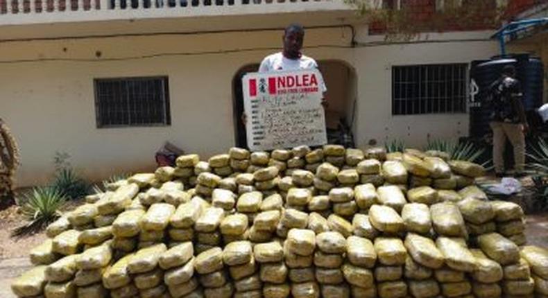NDLEA seizes 900,000 opioid pills [Daily Post Nigeria]