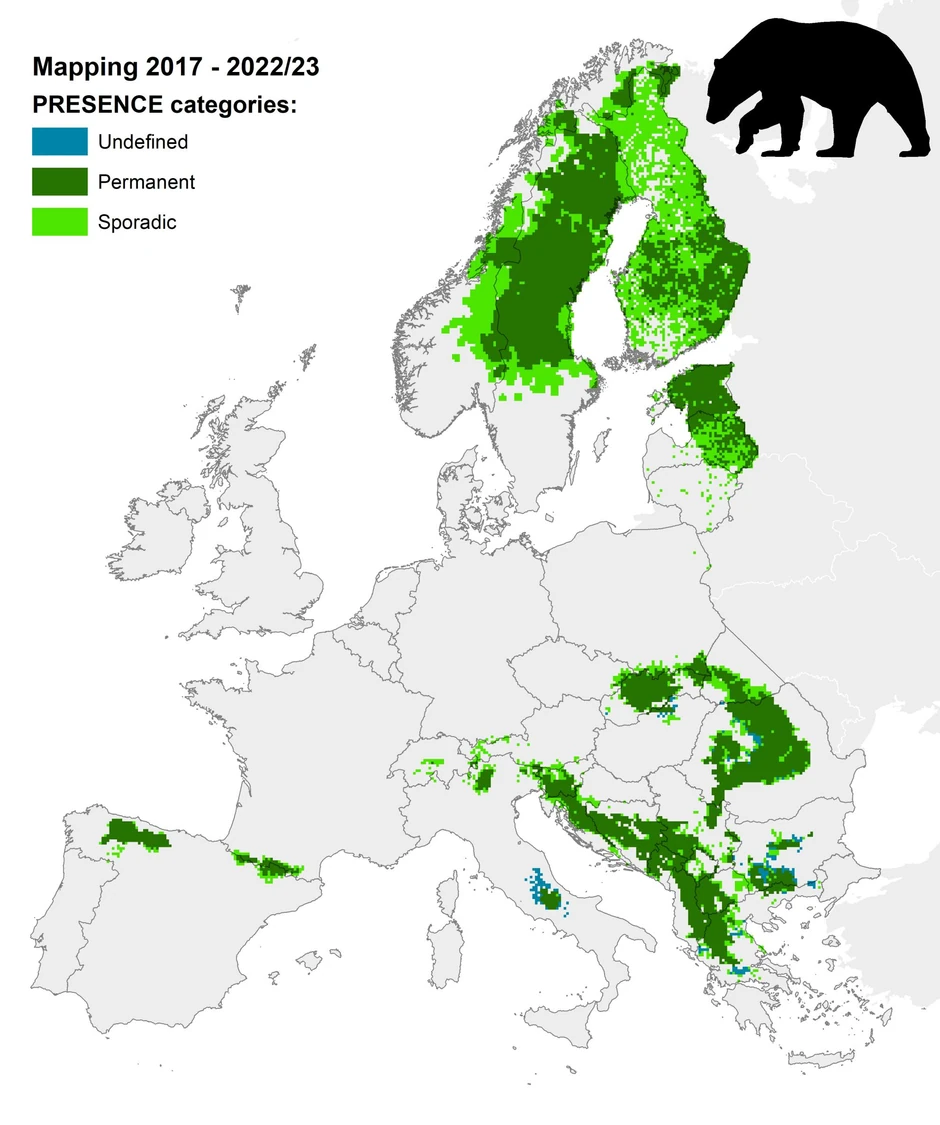 Rsprostranjenost medveda