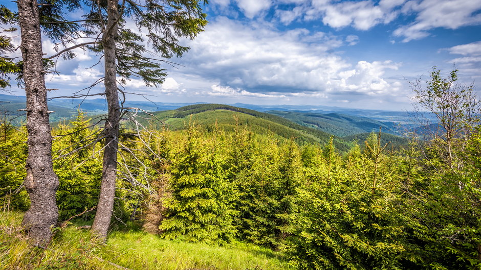 Przełęcz Okraj, Karkonosze