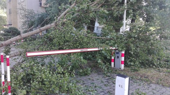 Nawałnica spustoszyła Osiedle Podwawelskie