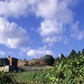 italy, tuscany, gaiole in chianti, broglio castle 