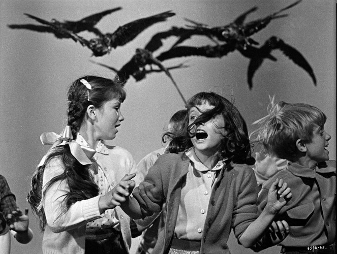 Scena z filmu 'Ptaki'