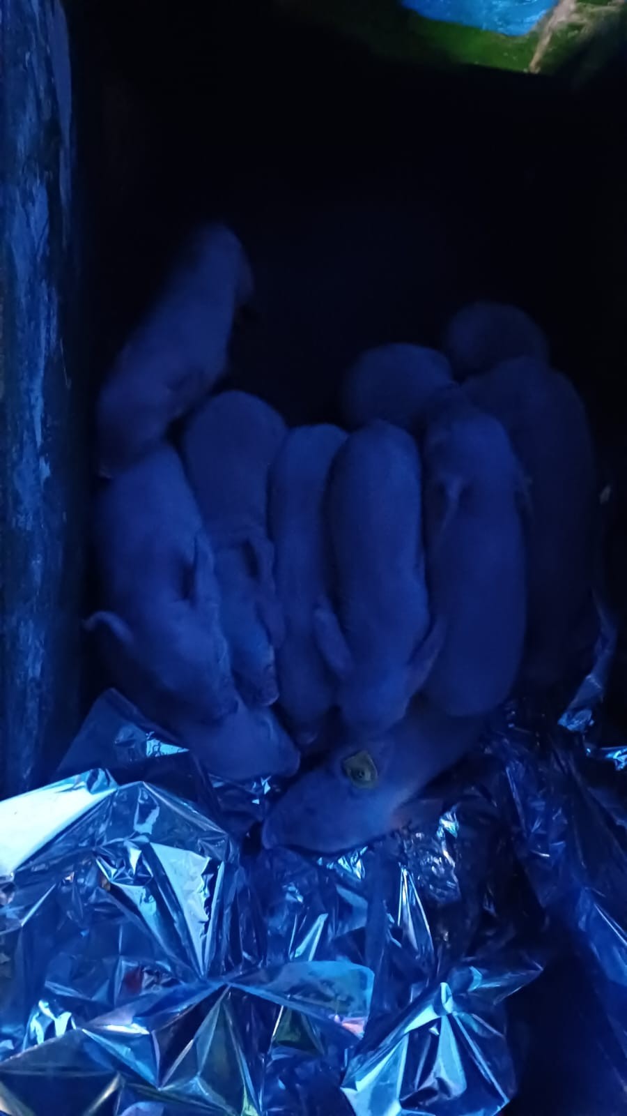 Požiar hospodárskeho objektu vo Vištuku sa podarilo zlikvidovať. 