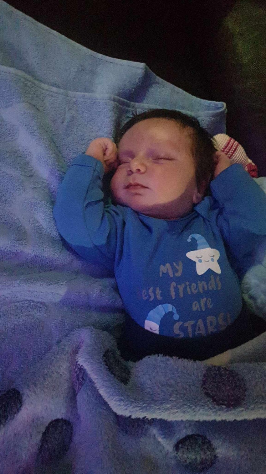 Najmlađi član porodice Šućurović