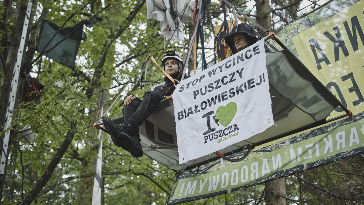 Trwa blokada wywózki drewna w Nadleśnictwie Białowieża w pobliżu wsi Teremiski. Obrońcy przyrody pilnują, aby drzewa ścięte w ubiegłym tygodniu nie zostały wywiezione z Puszczy Białowieskiej.