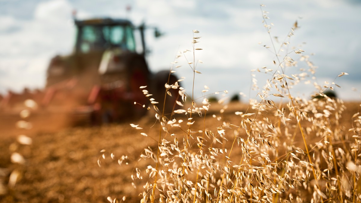 Prezentacja nowoczesnych maszyn i urządzeń, a także środków do produkcji rolnej i wystawa zwierząt hodowlanych – to niektóre z atrakcji rozpoczynających się dzisiaj największych w kraju Targów Rolnych "Agro Pomerania 2014" w Barzkowicach.