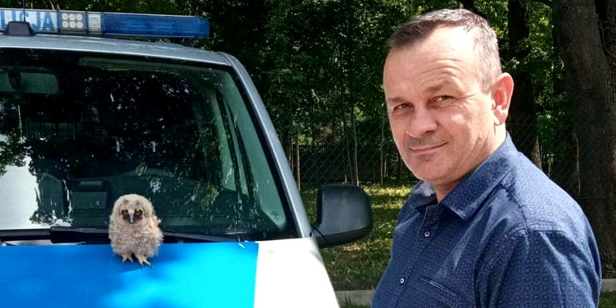  Łódź. Malutka sowa uratowana przez policjanta. 