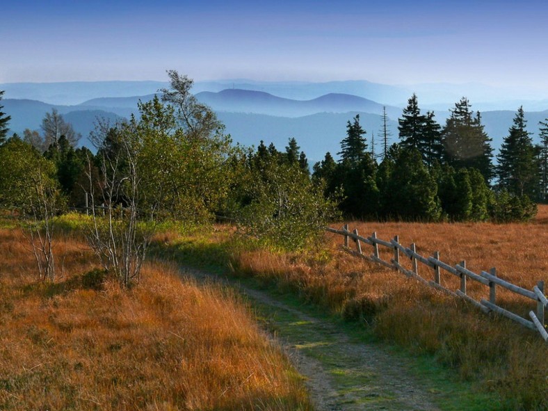 Schwarzwald 